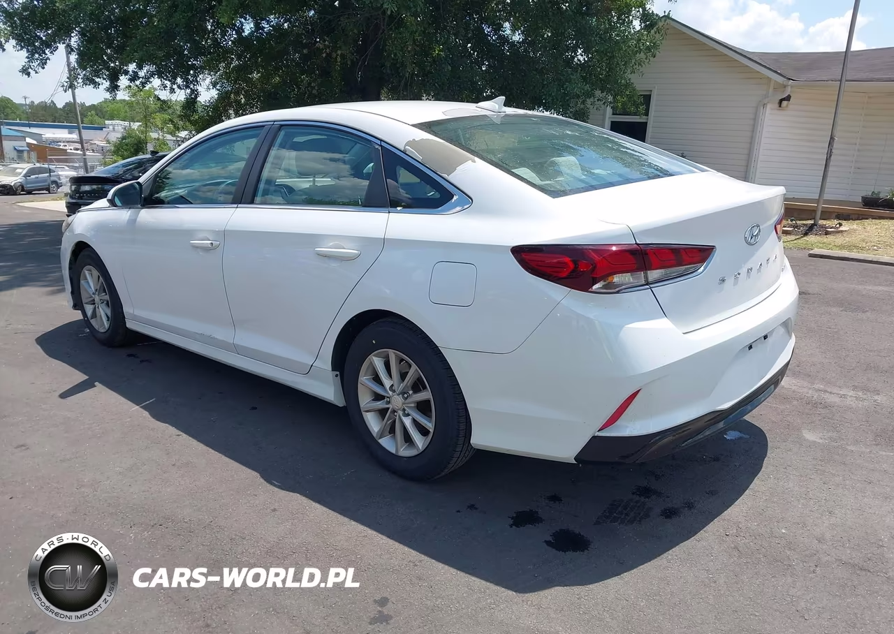 2019 Hyundai Sonata Eco VIN:5NPE24AA6KH774144 - 3
