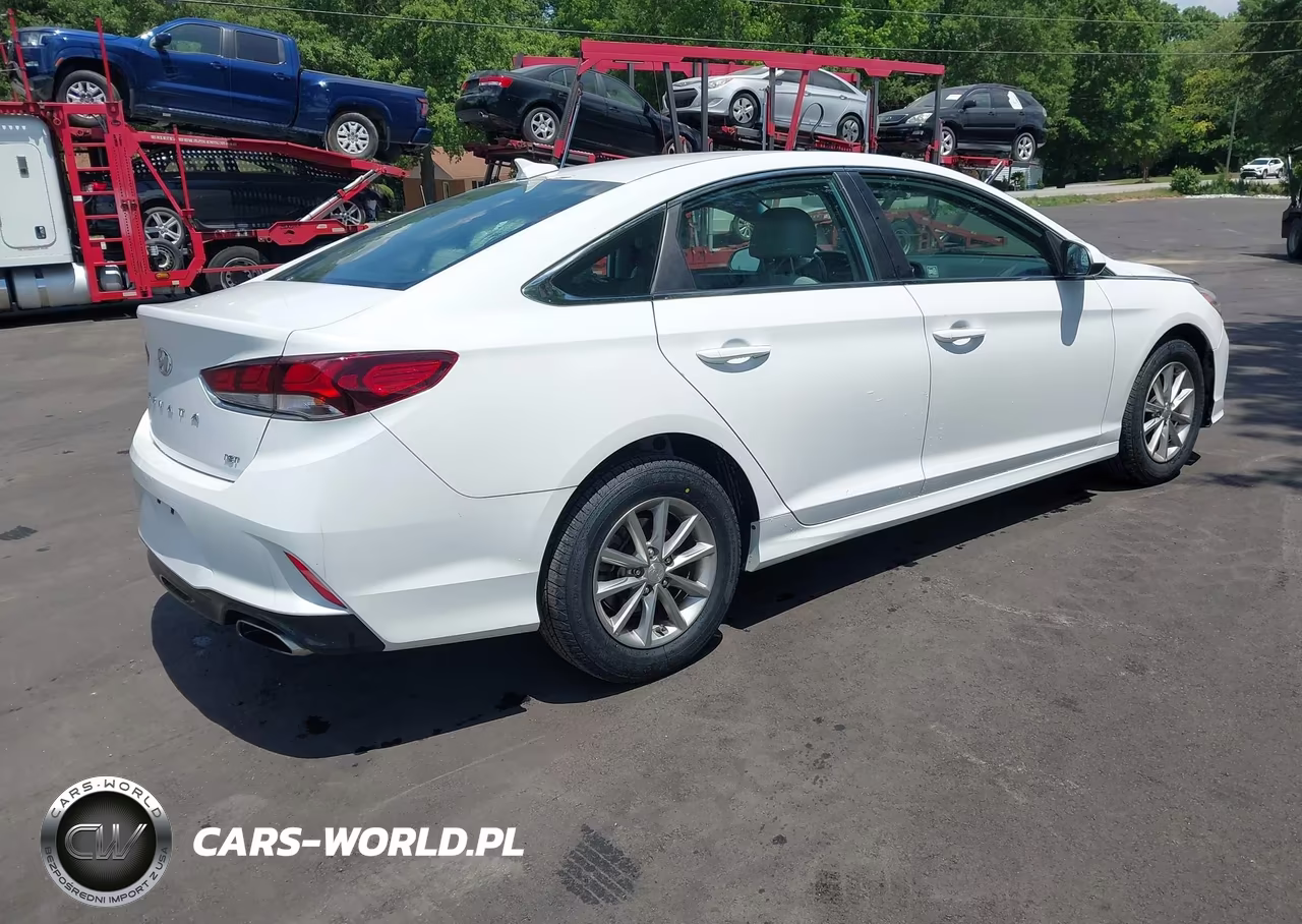 2019 Hyundai Sonata Eco VIN:5NPE24AA6KH774144 - 4