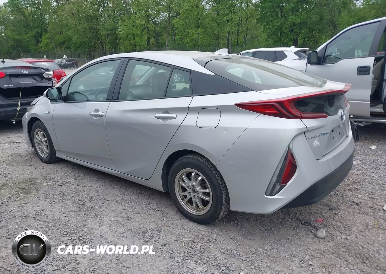 2019 Toyota Prius Prime Premium VIN:JTDKARFP2K3117448 - 3