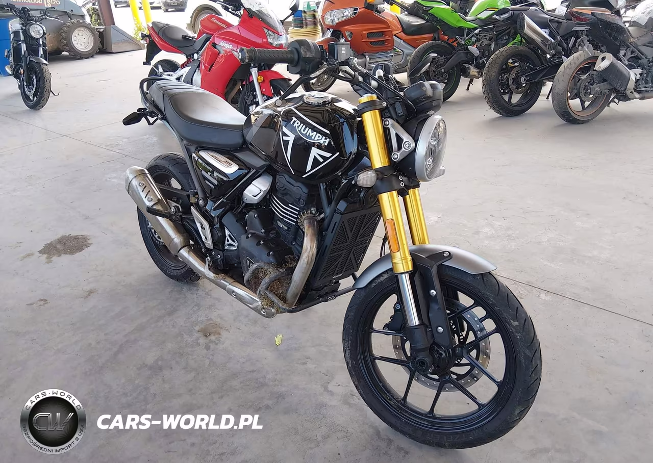2024 Triumph Motorcycle Speed 400