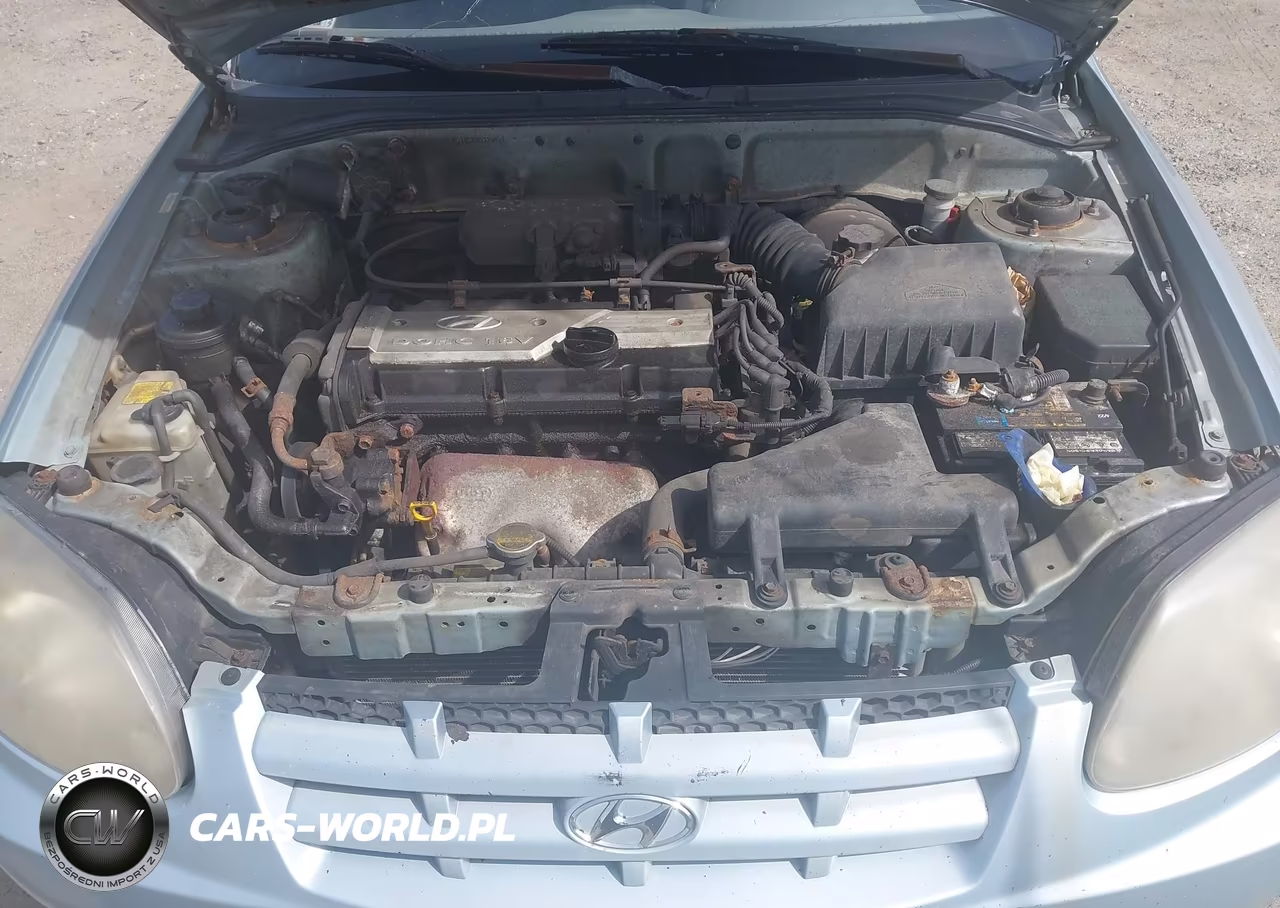 2005 Hyundai Accent Gls-Gt VIN:KMHCG35CX5U339891 - 10