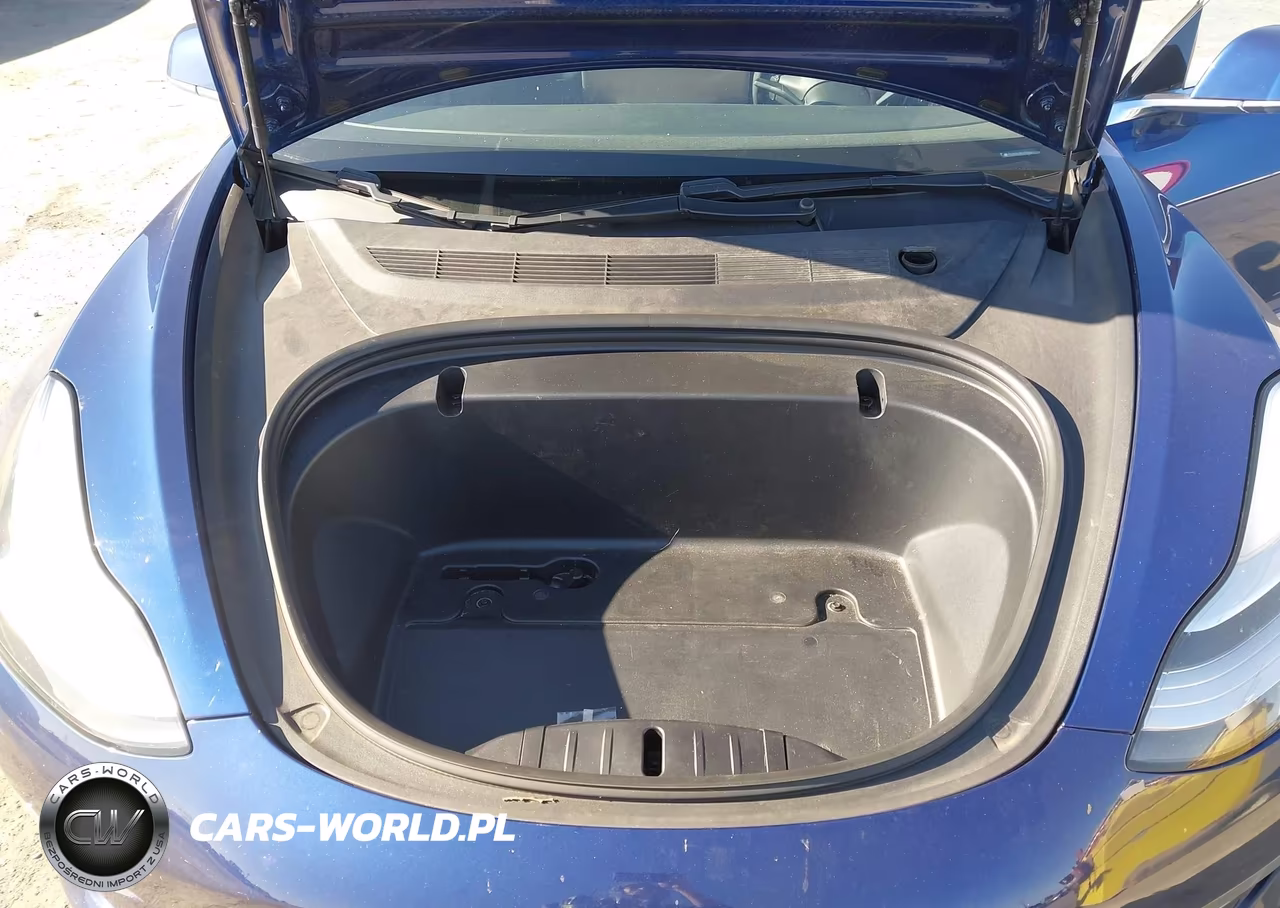 2020 Tesla Model 3 Performance Dual Motor All-Wheel Drive VIN:5YJ3E1EC8LF719395 - 10