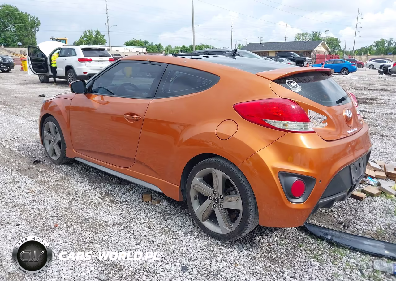 2013 Hyundai Veloster Turbo W-Black VIN:KMHTC6AE3DU104428 - 3