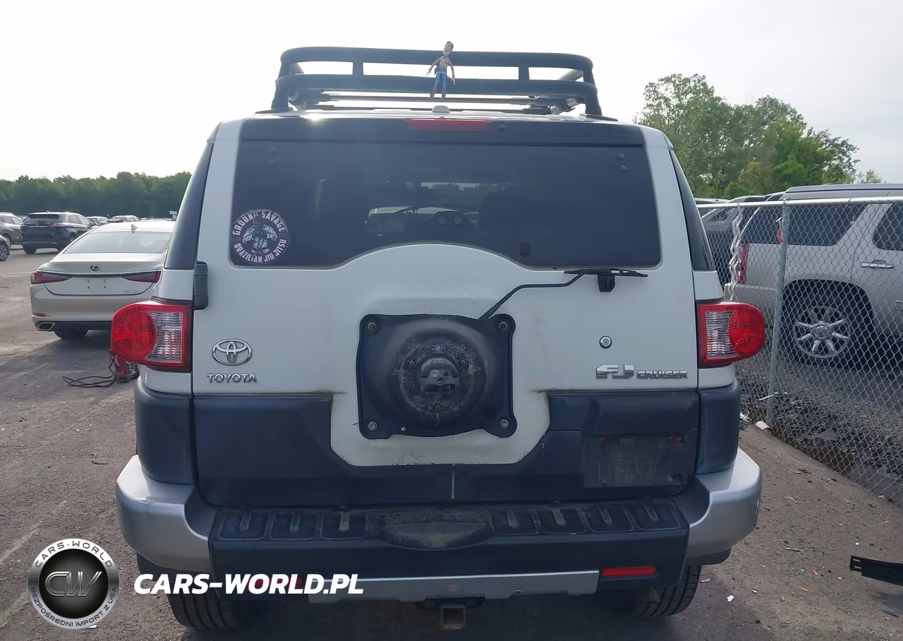 2011 Toyota Fj Cruiser VIN:JTEBU4BF9BK100882 - 16