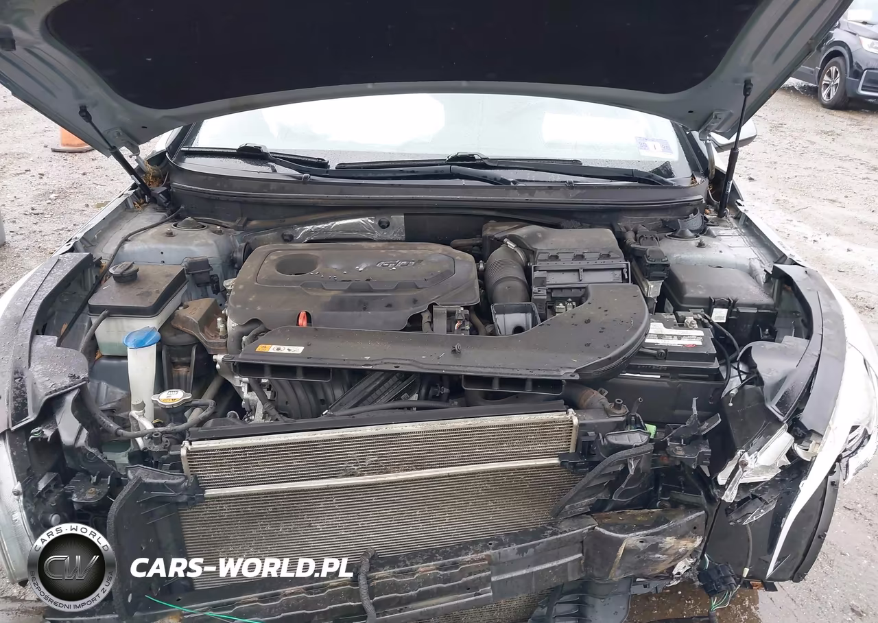 2015 Hyundai Sonata Se VIN:5NPE24AF2FH232234 - 10