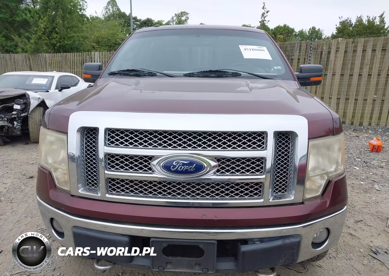 2010 Ford F-150 Fx4-Harley-Davidson-King Ranch-Lariat-Platinum-Xl-Xlt VIN:1FTFW1EV2AFD52885 - 12