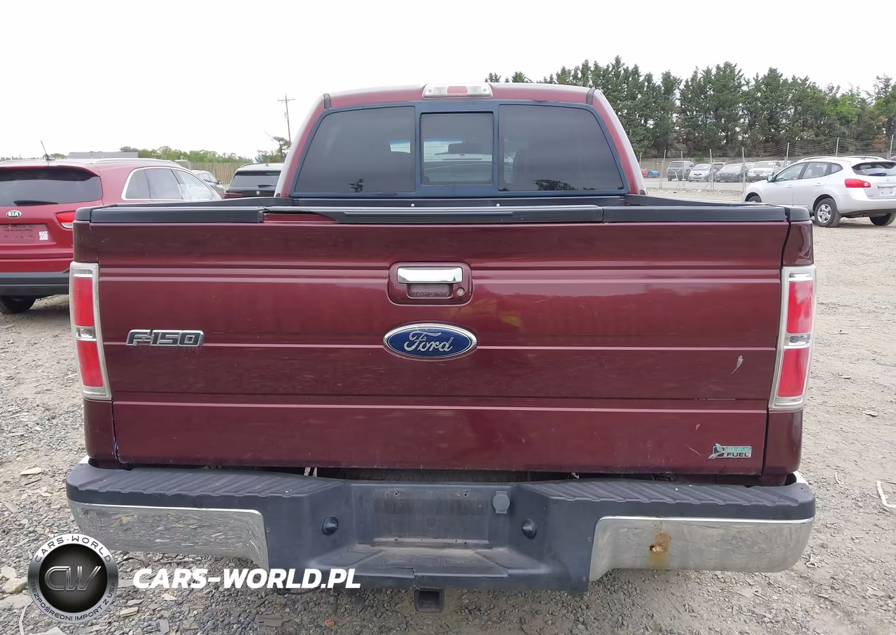 2010 Ford F-150 Fx4-Harley-Davidson-King Ranch-Lariat-Platinum-Xl-Xlt VIN:1FTFW1EV2AFD52885 - 16