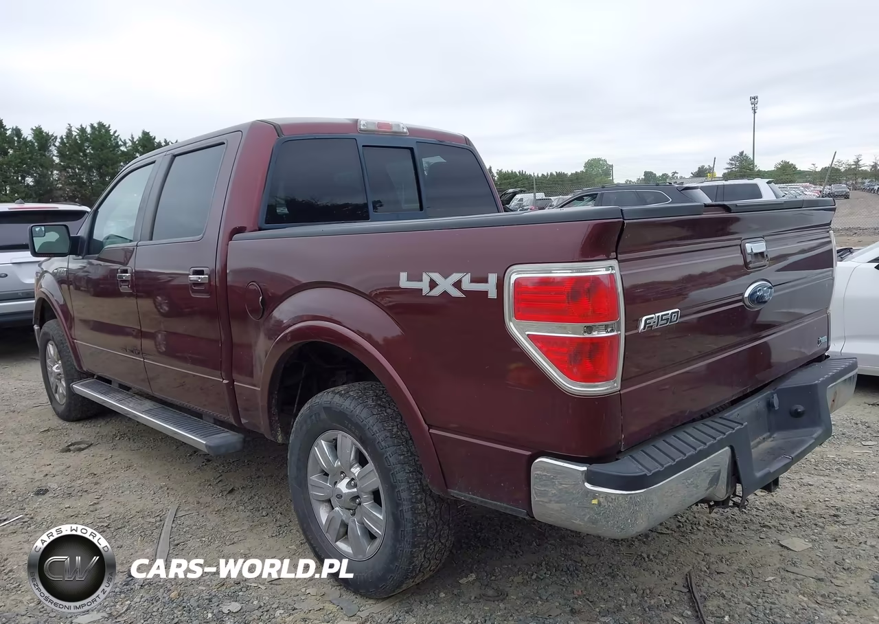 2010 Ford F-150 Fx4-Harley-Davidson-King Ranch-Lariat-Platinum-Xl-Xlt VIN:1FTFW1EV2AFD52885 - 3