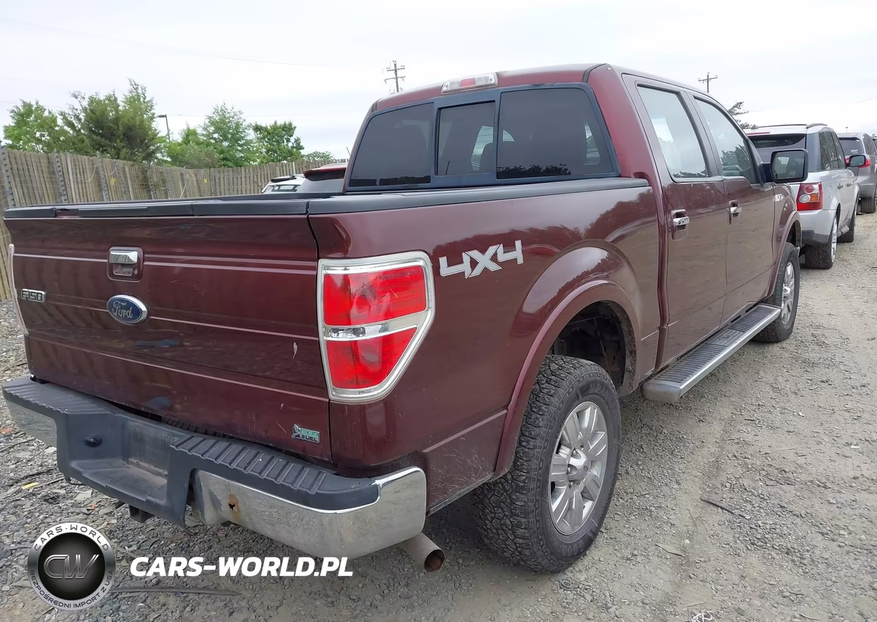 2010 Ford F-150 Fx4-Harley-Davidson-King Ranch-Lariat-Platinum-Xl-Xlt VIN:1FTFW1EV2AFD52885 - 4
