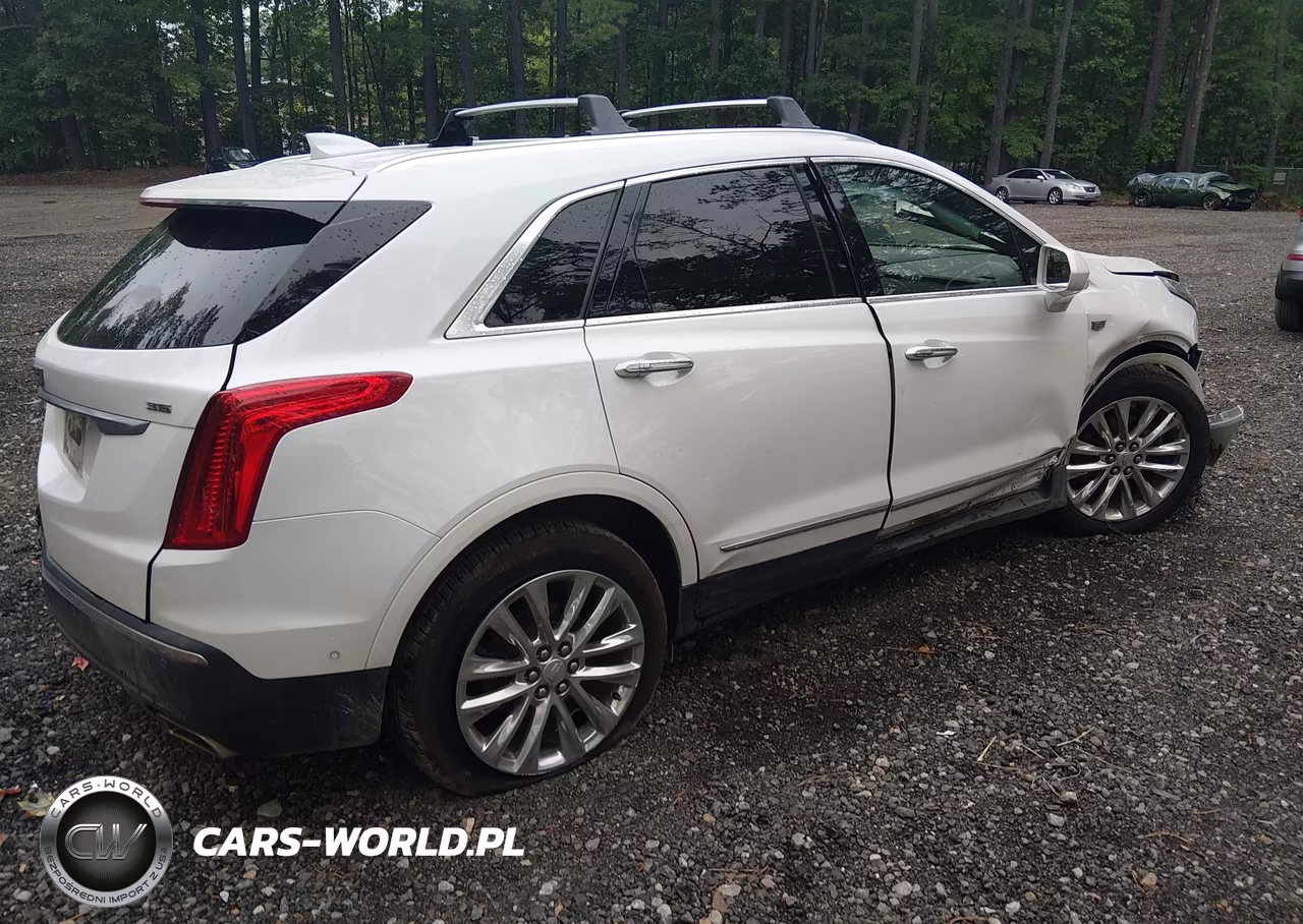 2019 Cadillac Xt5 Premium Luxury VIN:1GYKNFRS4KZ199452 - 4
