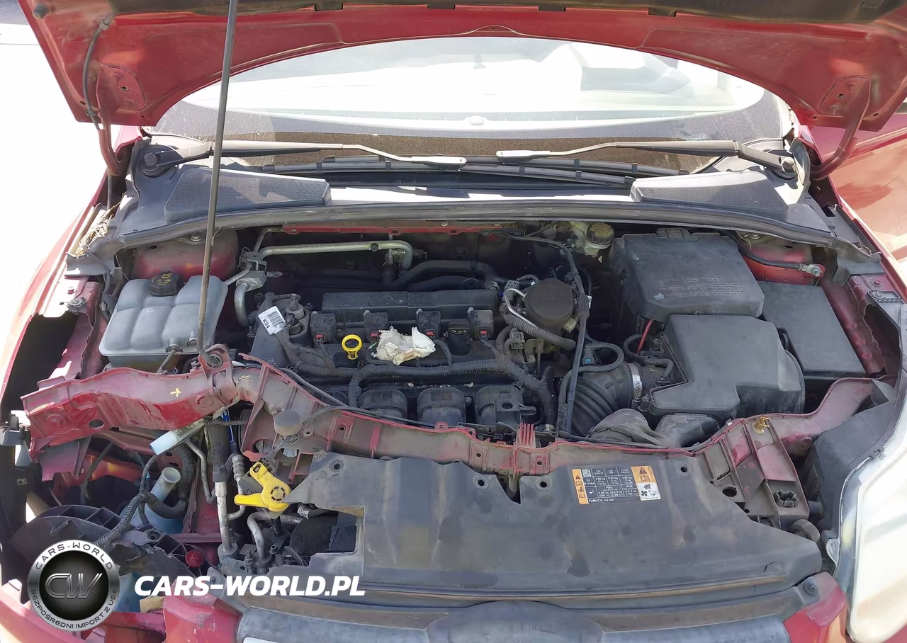 2014 Ford Focus Se VIN:1FADP3K21EL399445 - 10