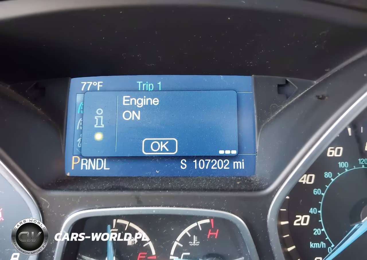 2014 Ford Focus Se VIN:1FADP3K21EL399445 - 16