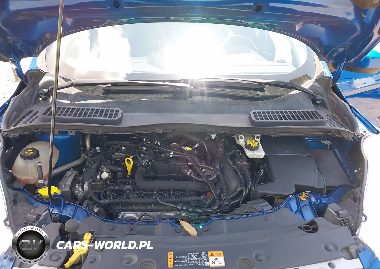 2019 Ford Escape Sel VIN:1FMCU9HD3KUA11966 - 10