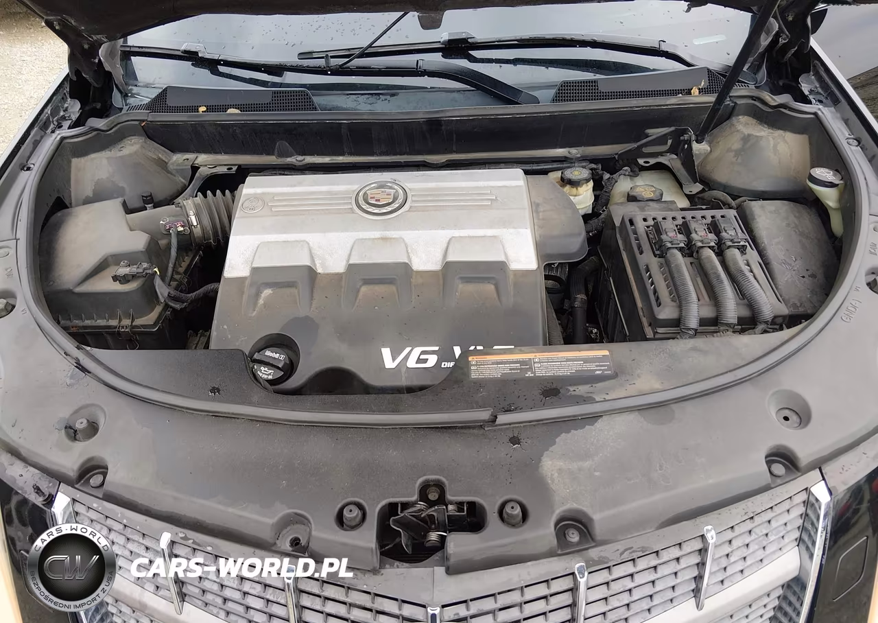 2010 Cadillac Srx Performance Collection VIN:3GYFNBEY9AS545902 - 10