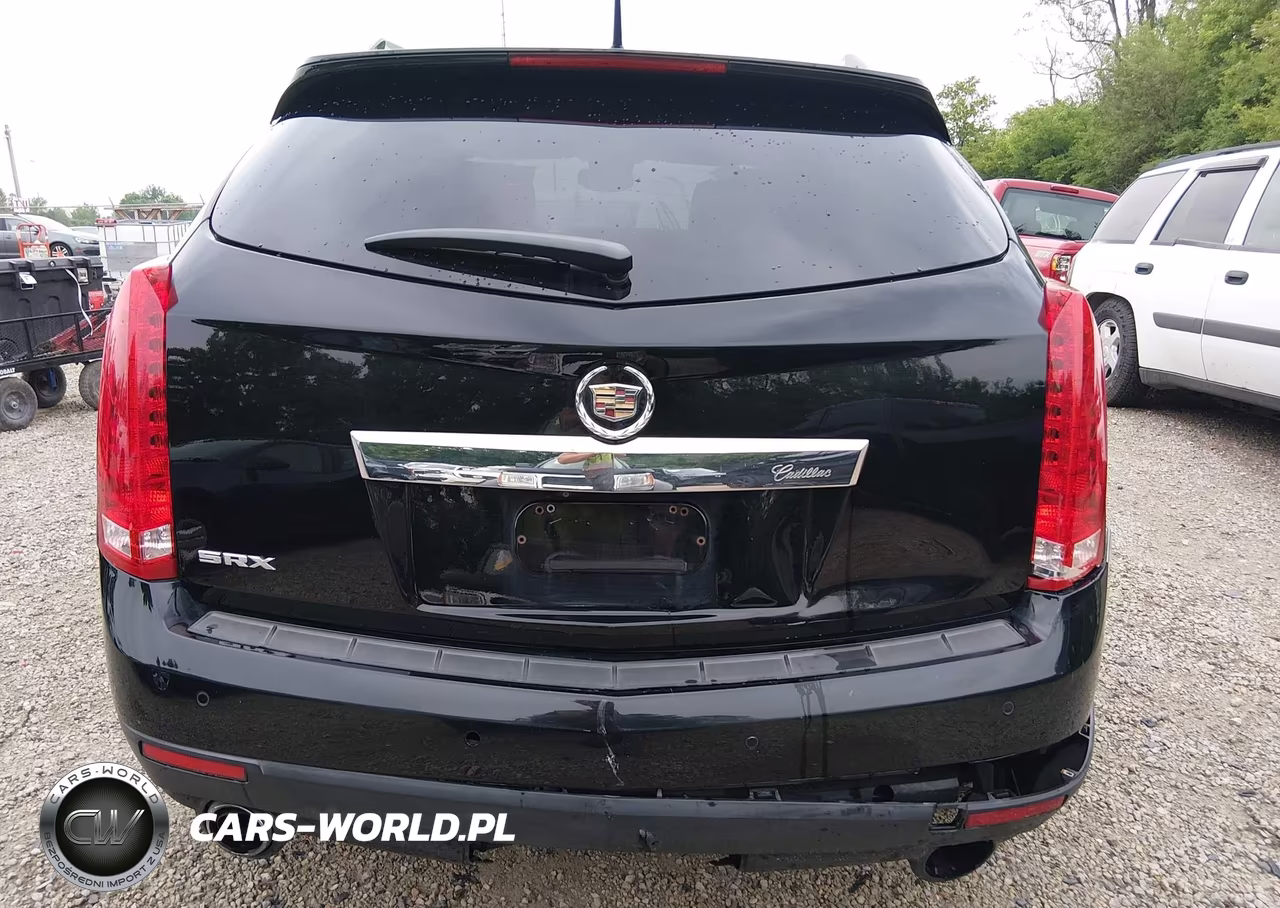 2010 Cadillac Srx Performance Collection VIN:3GYFNBEY9AS545902 - 16