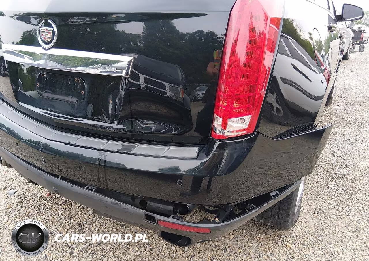 2010 Cadillac Srx Performance Collection VIN:3GYFNBEY9AS545902 - 17