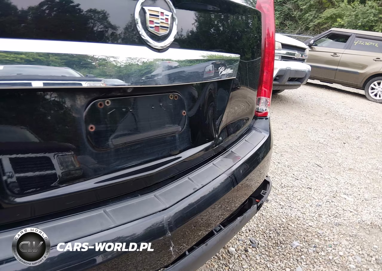 2010 Cadillac Srx Performance Collection VIN:3GYFNBEY9AS545902 - 18
