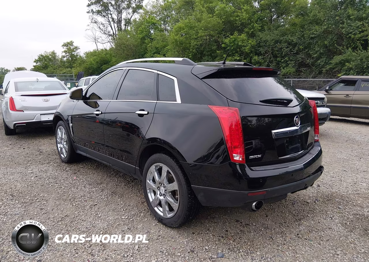 2010 Cadillac Srx Performance Collection VIN:3GYFNBEY9AS545902 - 3