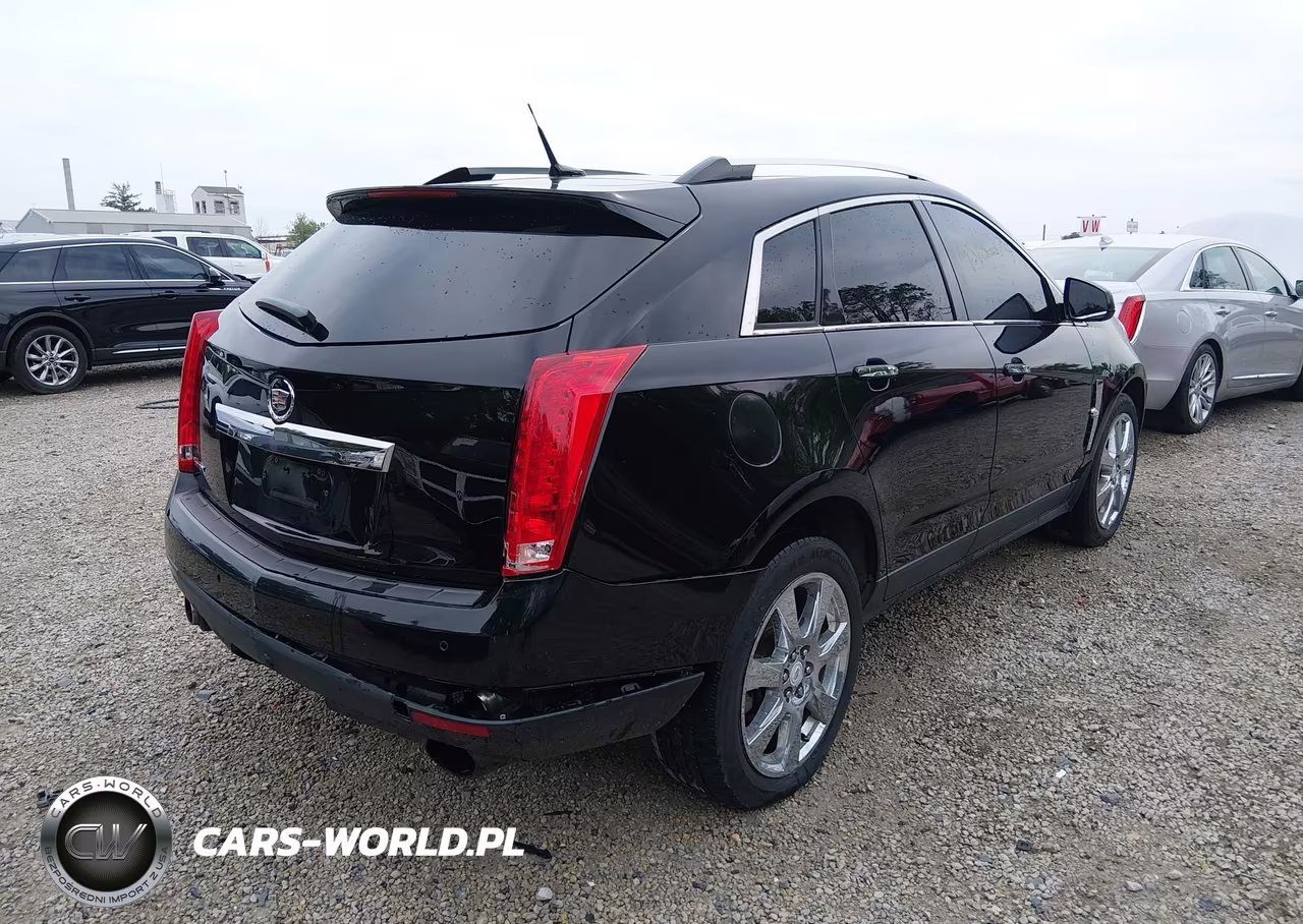 2010 Cadillac Srx Performance Collection VIN:3GYFNBEY9AS545902 - 4