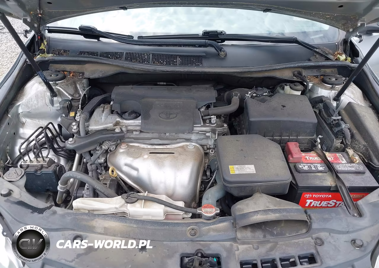 2016 Toyota Camry Xse VIN:4T1BF1FK0GU234675 - 10