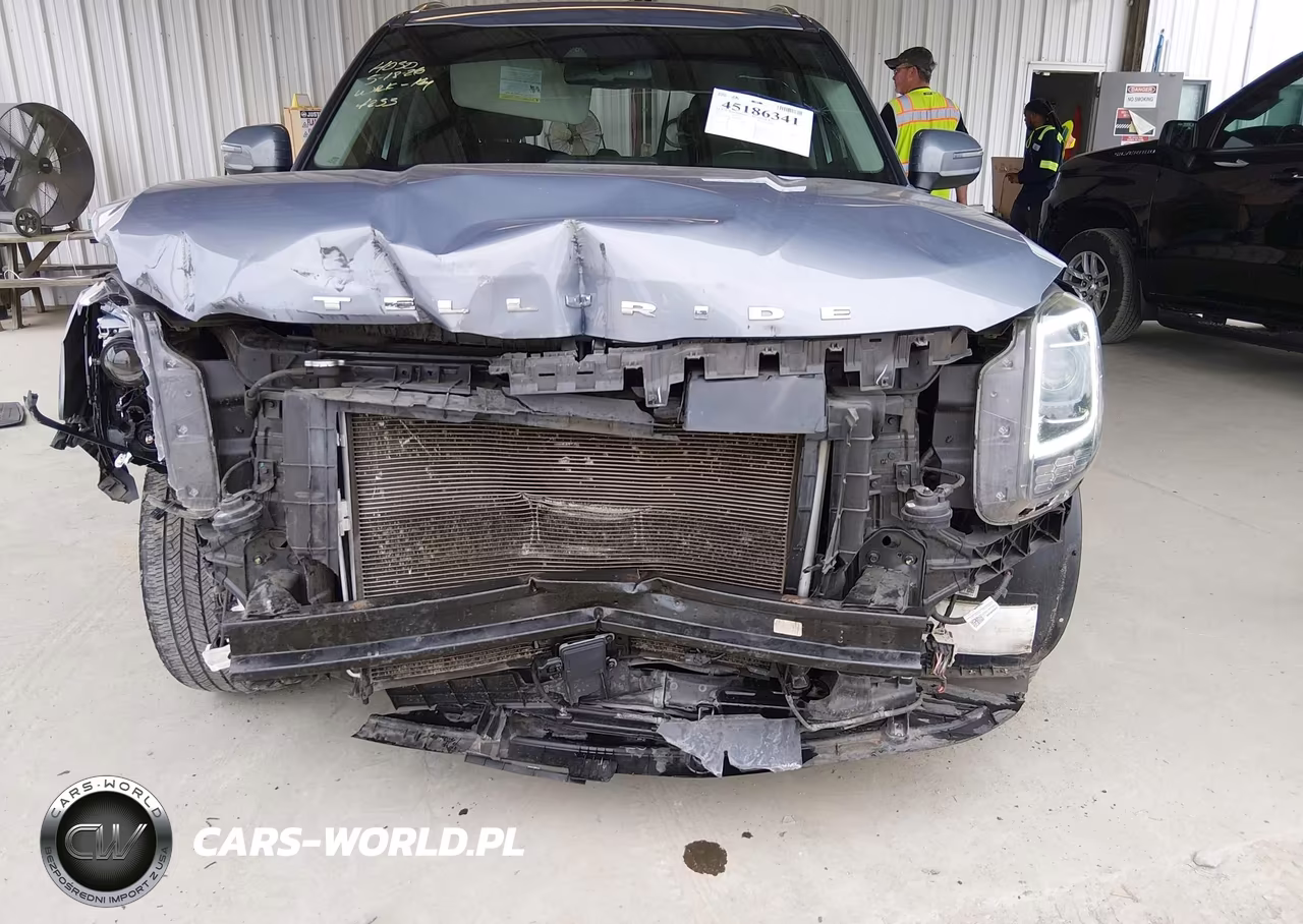 2020 Kia Telluride Ex VIN:5XYP3DHC9LG084233 - 13
