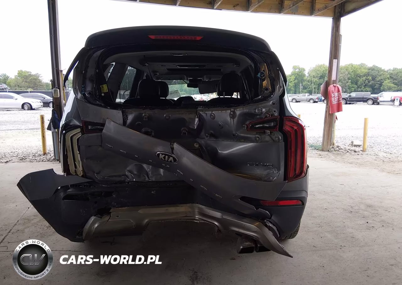 2020 Kia Telluride Ex VIN:5XYP3DHC9LG084233 - 17