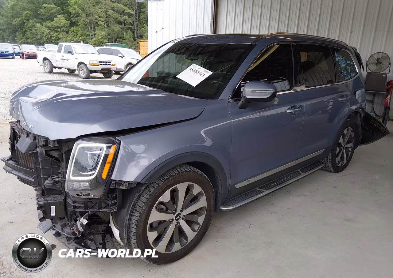 2020 Kia Telluride Ex VIN:5XYP3DHC9LG084233 - 2