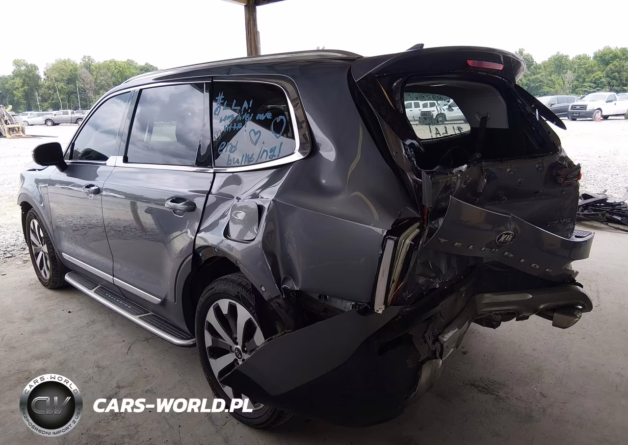 2020 Kia Telluride Ex VIN:5XYP3DHC9LG084233 - 3