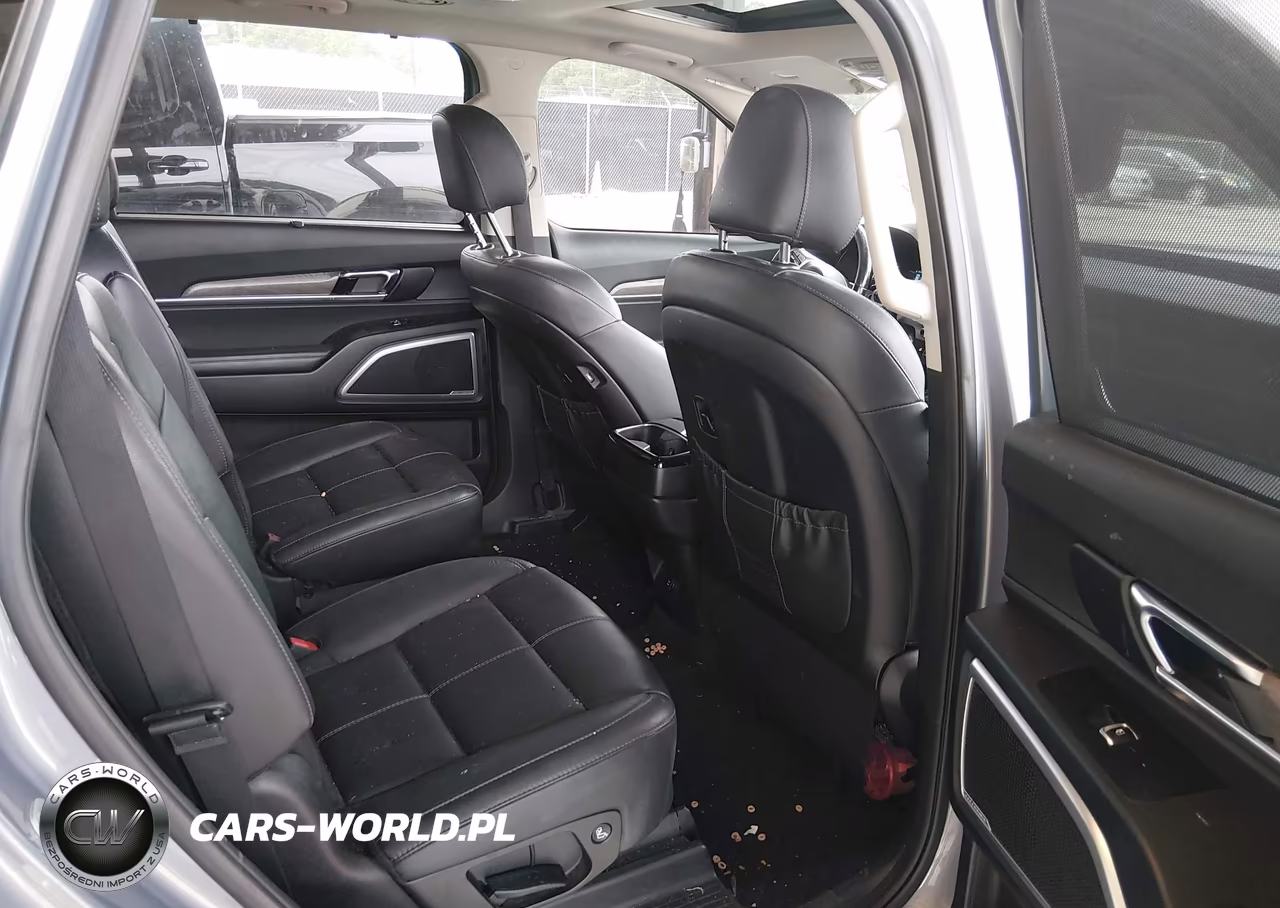 2020 Kia Telluride Ex VIN:5XYP3DHC9LG084233 - 8