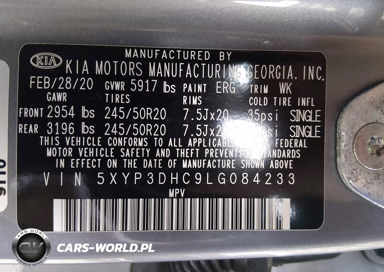 2020 Kia Telluride Ex VIN:5XYP3DHC9LG084233 - 9