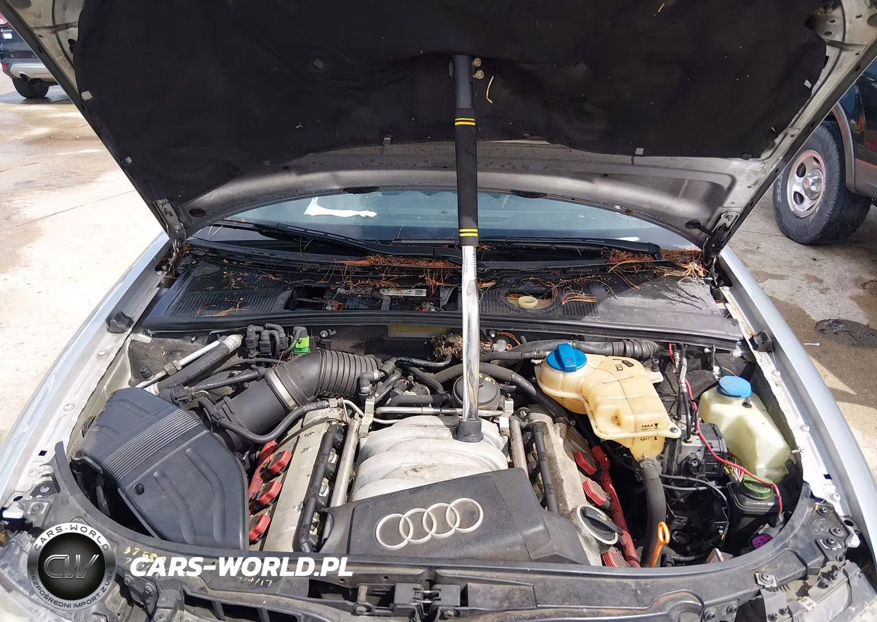 2005 Audi S4 VIN:WUARL48H75K901557 - 10