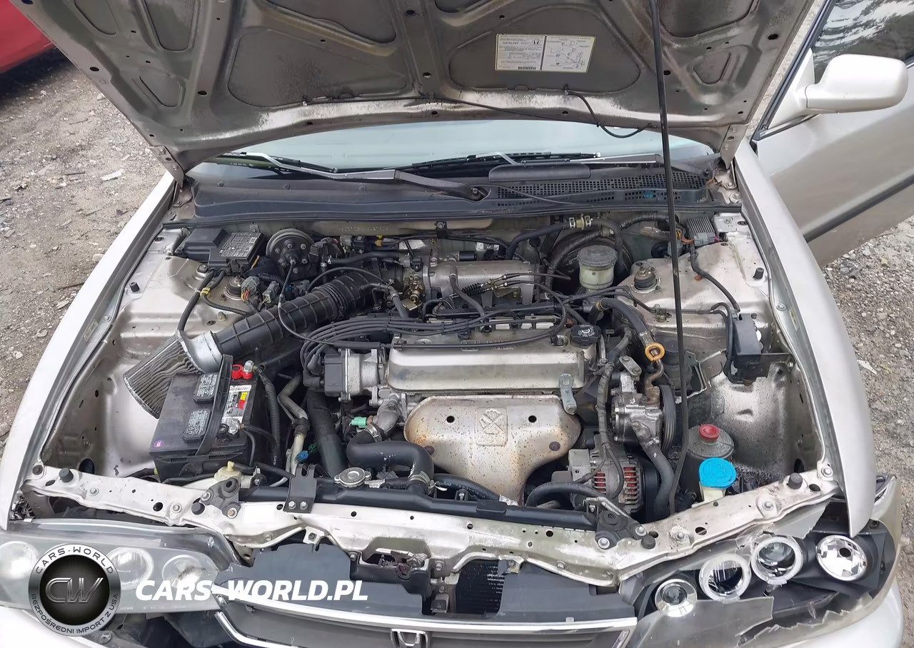 1997 Honda Accord Lx VIN:1HGCD723XVA027906 - 10