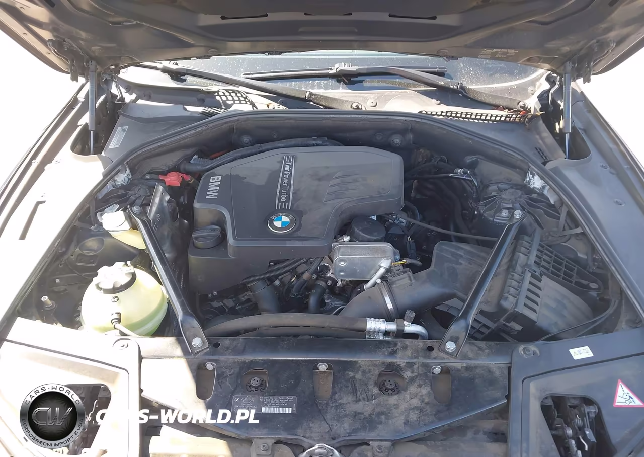 2013 BMW 528I VIN:WBAXG5C52DDY33616 - 10
