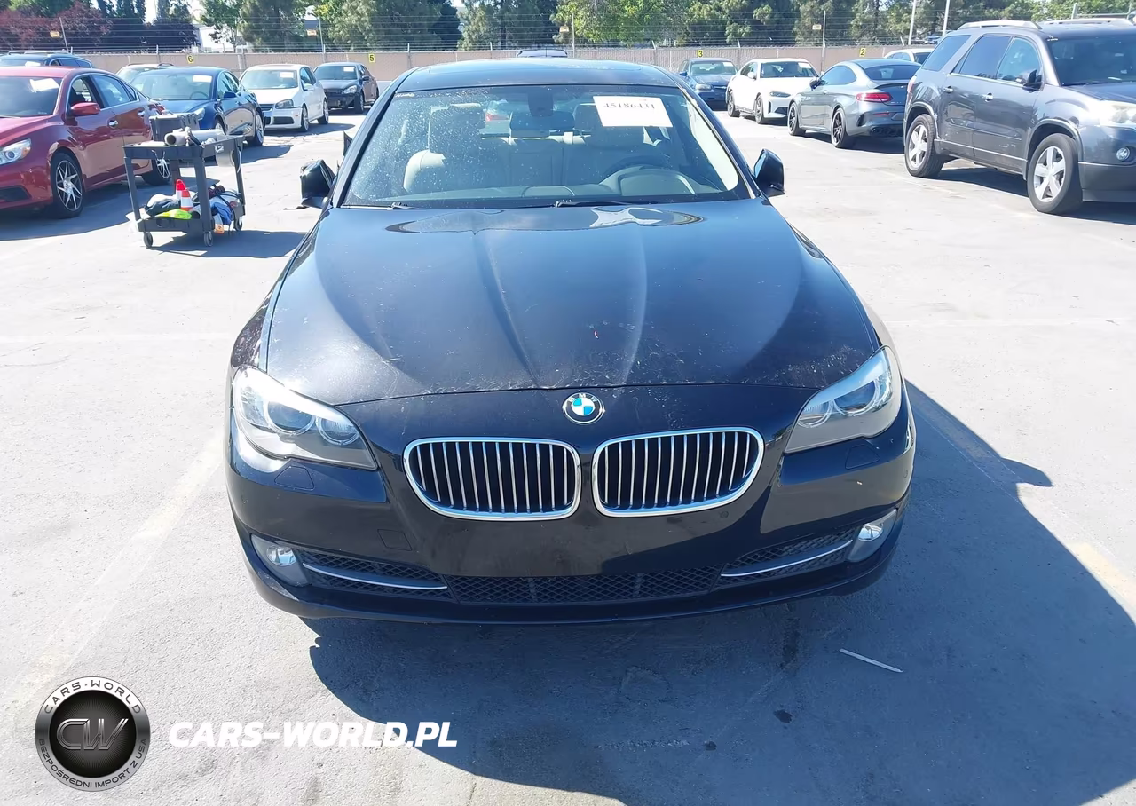 2013 BMW 528I VIN:WBAXG5C52DDY33616 - 6