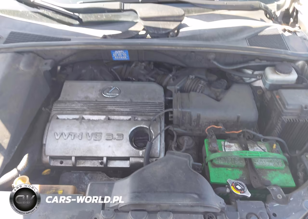 2004 Lexus Rx 330 VIN:JTJGA31U340044091 - 10