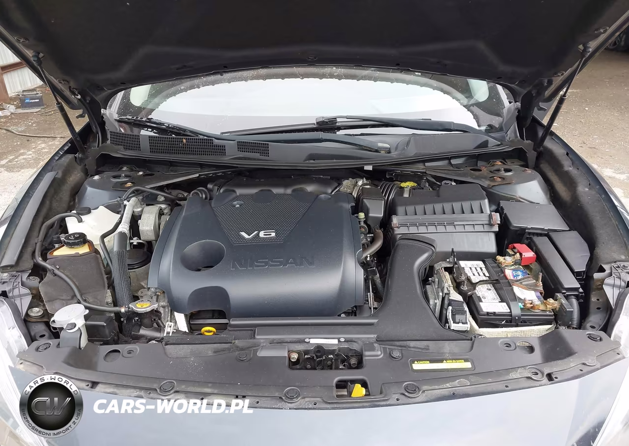 2016 Nissan Maxima 3.5 Platinum-3.5 S-3.5 Sl-3.5 Sr-3.5 Sv VIN:1N4AA6AP6GC445180 - 10