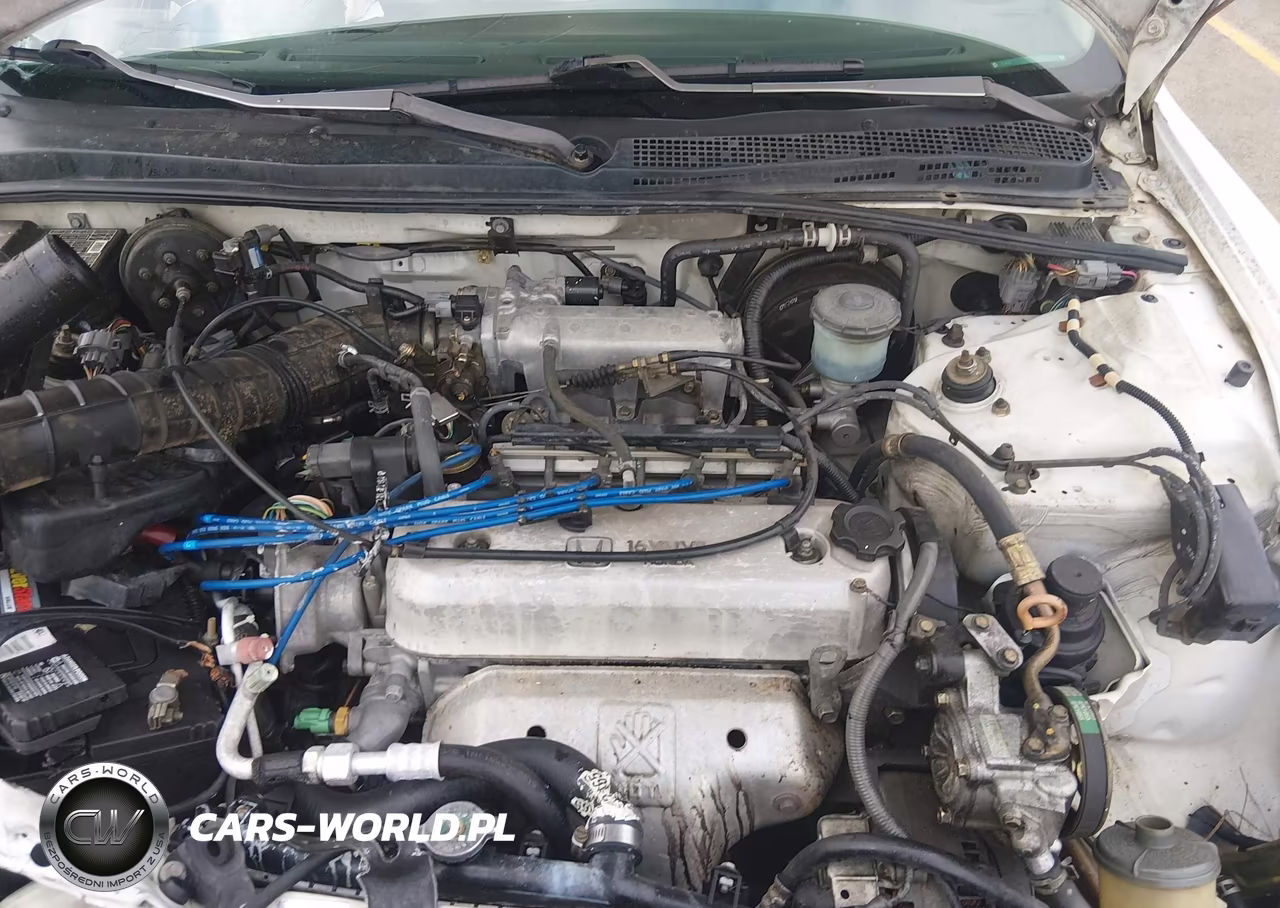 1995 Honda Accord Lx-Ex VIN:1HGCD5632SA149041 - 10