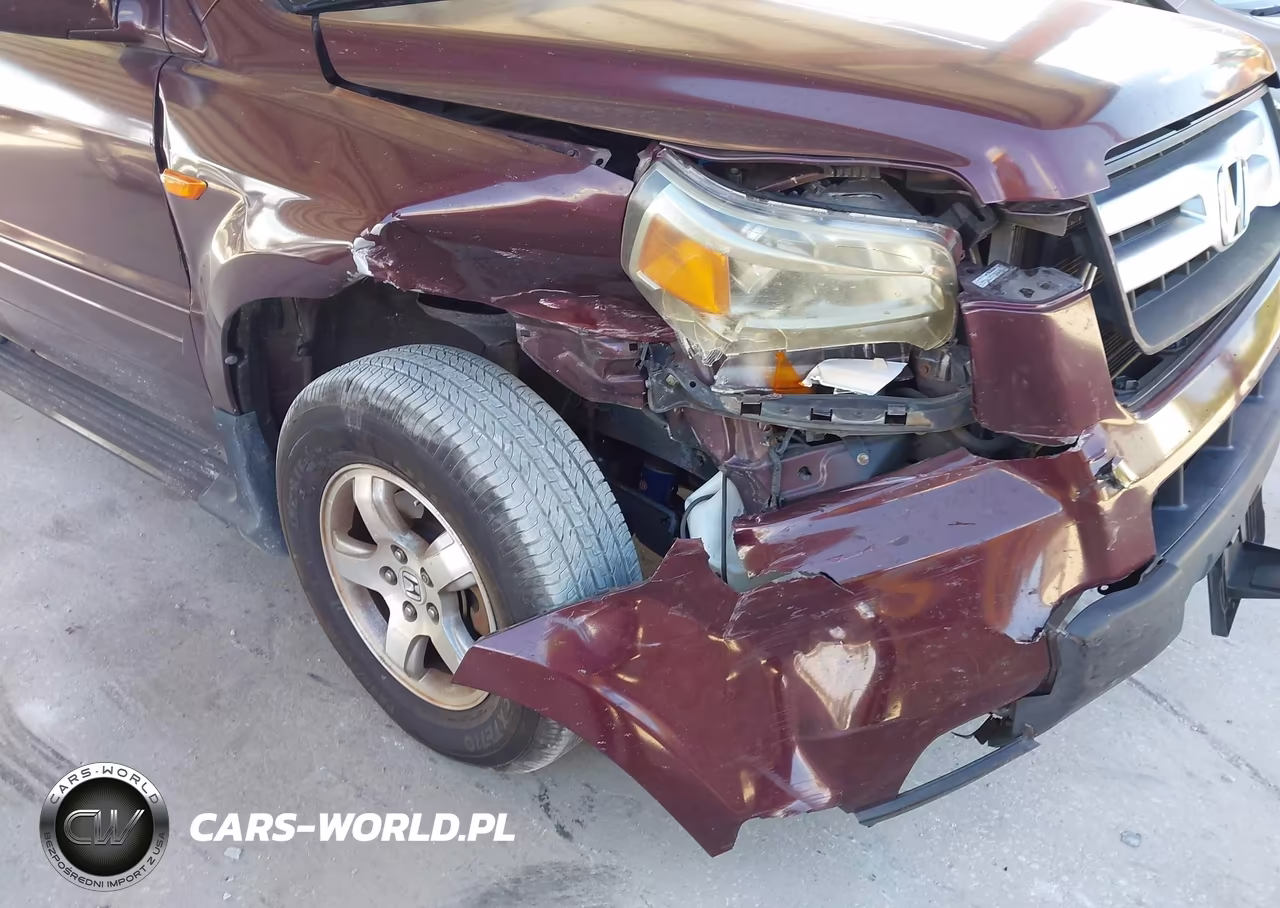 2007 Honda Pilot Ex VIN:2HKYF18447H503784 - 6