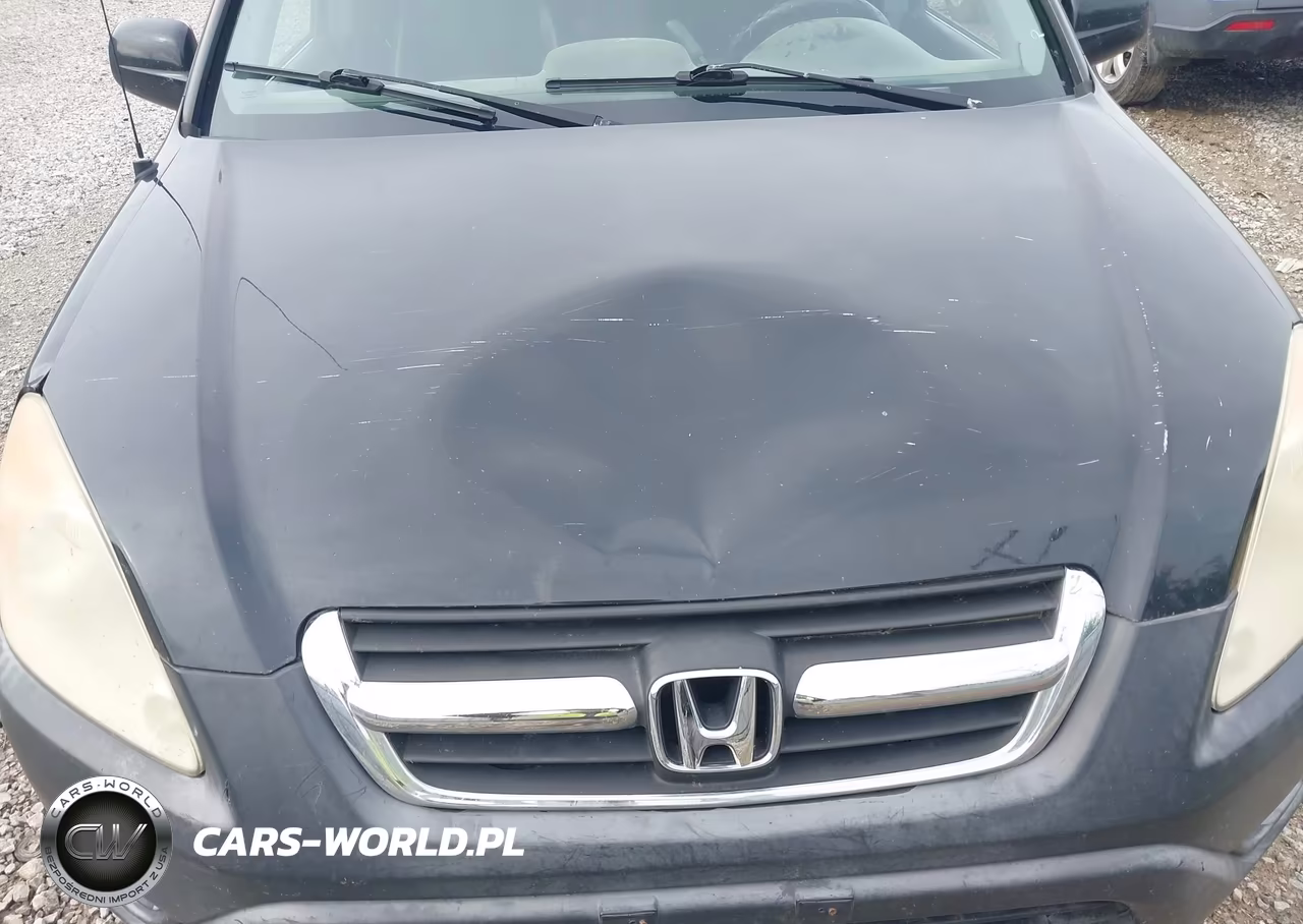 2004 Honda Cr-V Ex VIN:JHLRD78874C041618 - 6