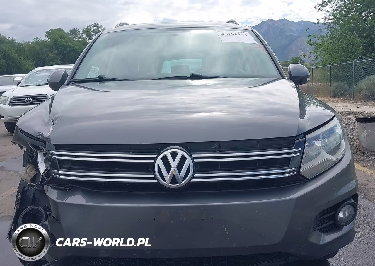 2015 Volkswagen Tiguan Sel VIN:WVGAV7AX0FW542629 - 12