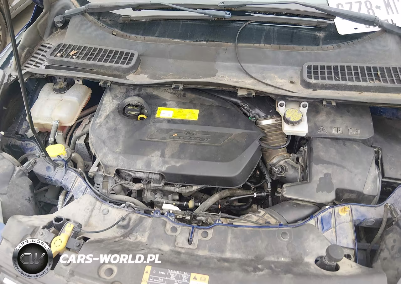 2016 Ford Escape Se VIN:1FMCU0GX1GUC20234 - 10