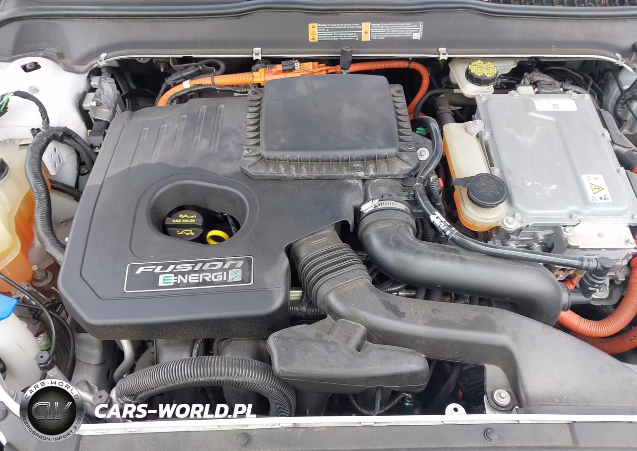 2014 Ford Fusion Energi Titanium VIN:3FA6P0SU4ER256144 - 10