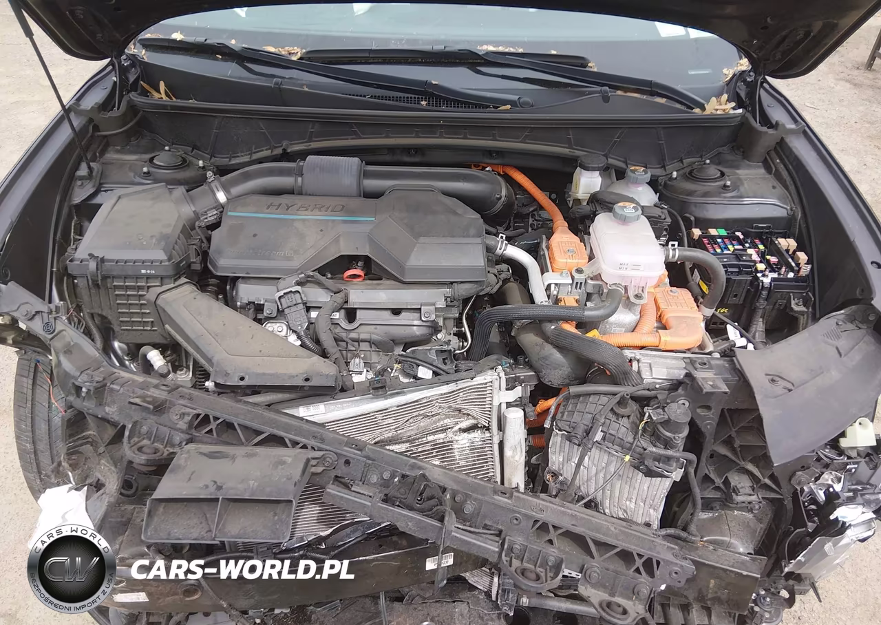 2024 Hyundai Tucson Hybrid Limited VIN:KM8JECD16RU184162 - 10