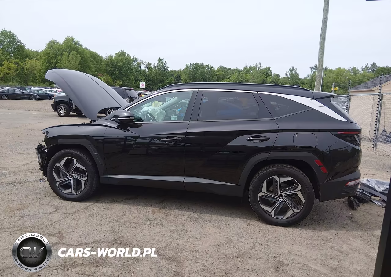 2024 Hyundai Tucson Hybrid Limited VIN:KM8JECD16RU184162 - 14
