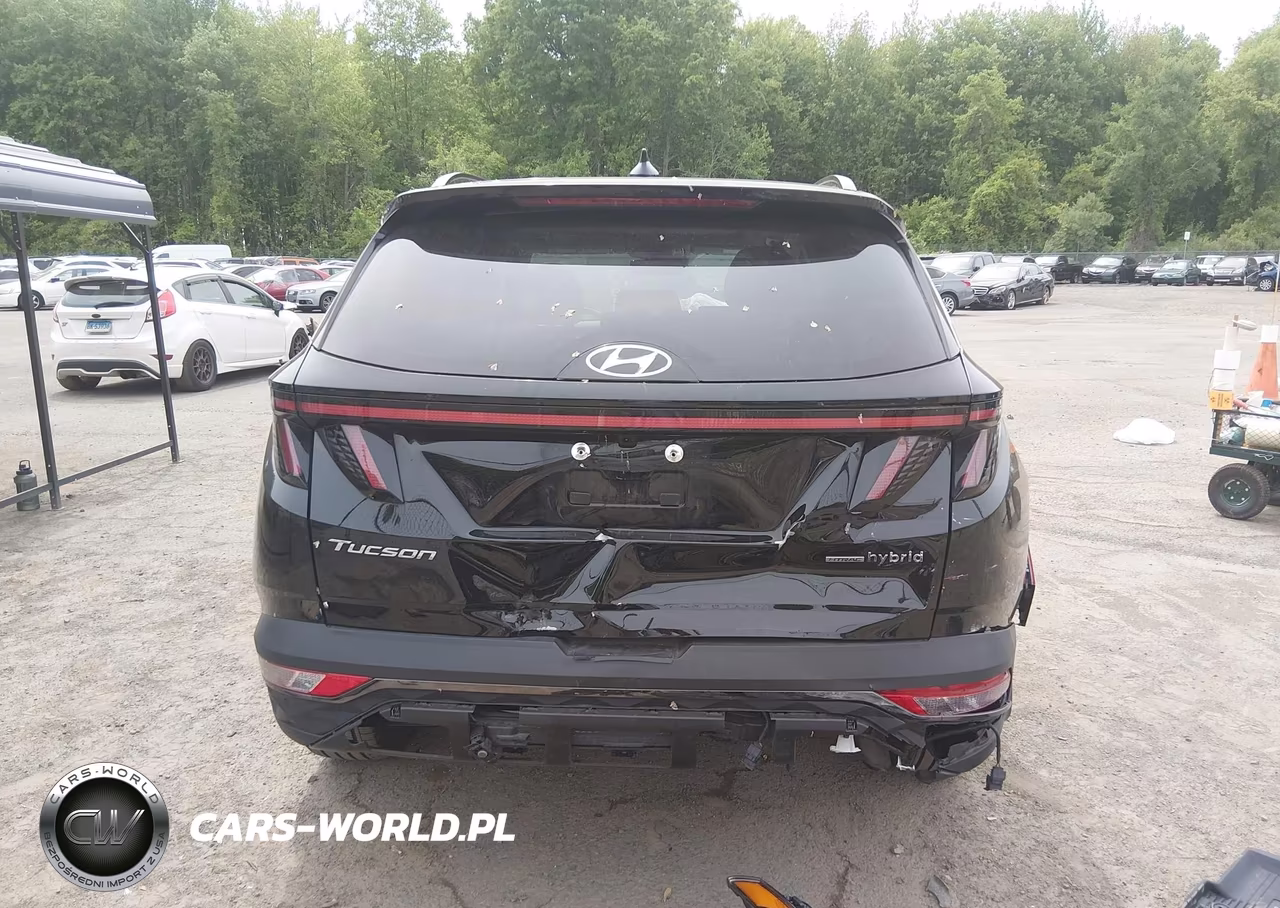 2024 Hyundai Tucson Hybrid Limited VIN:KM8JECD16RU184162 - 16