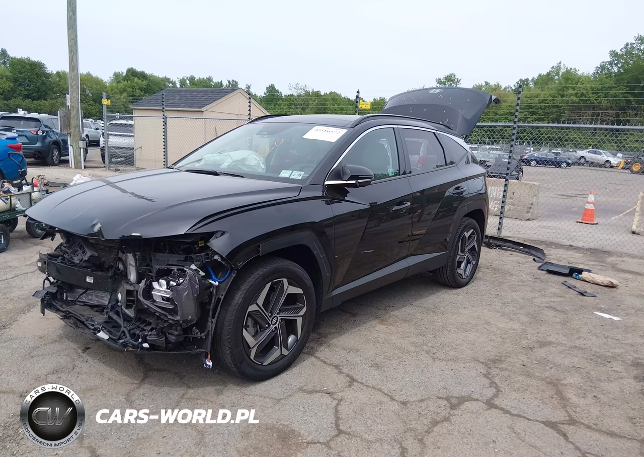 2024 Hyundai Tucson Hybrid Limited VIN:KM8JECD16RU184162 - 2