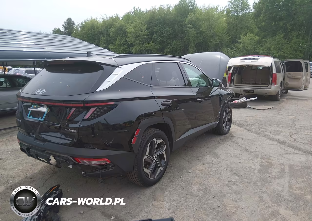 2024 Hyundai Tucson Hybrid Limited VIN:KM8JECD16RU184162 - 4