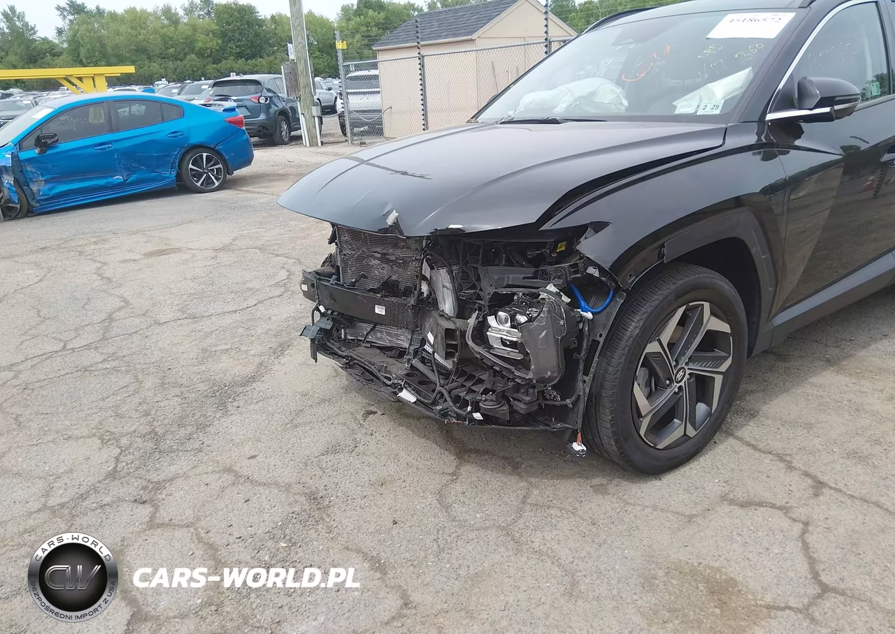 2024 Hyundai Tucson Hybrid Limited VIN:KM8JECD16RU184162 - 6