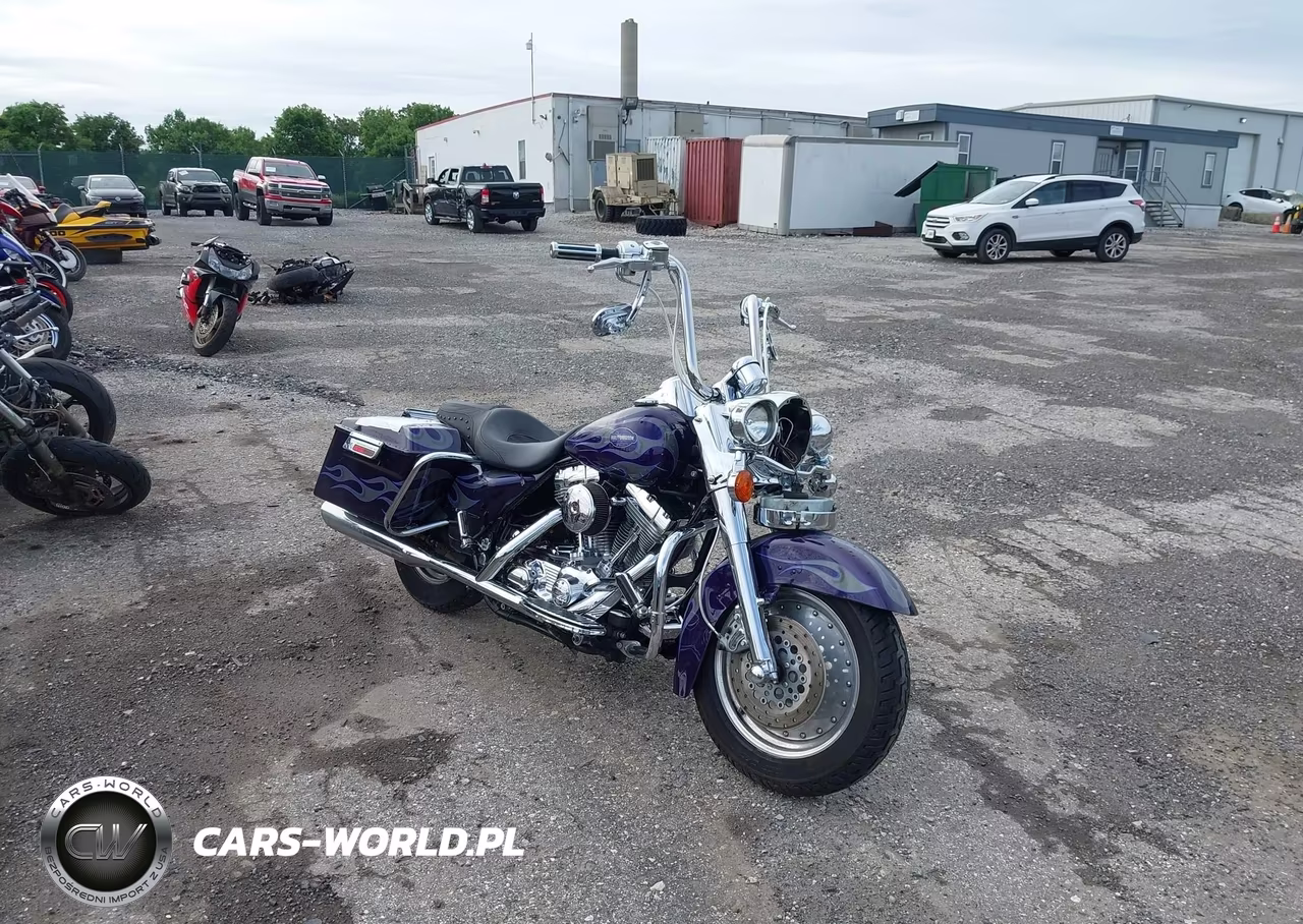 2002 Harley-Davidson Flhrsei