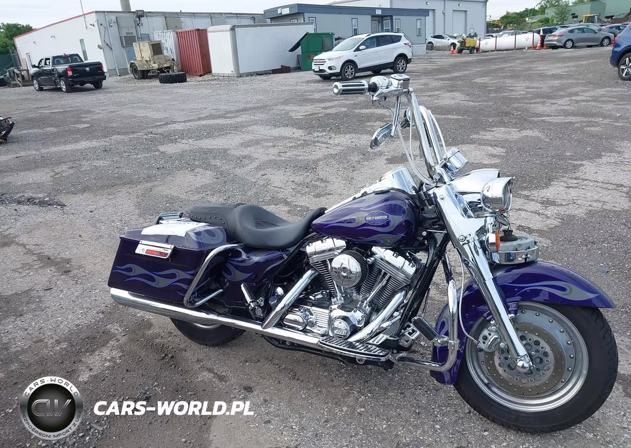 2002 Harley-Davidson Flhrsei VIN:1HD1PDC132Y953929 - 12